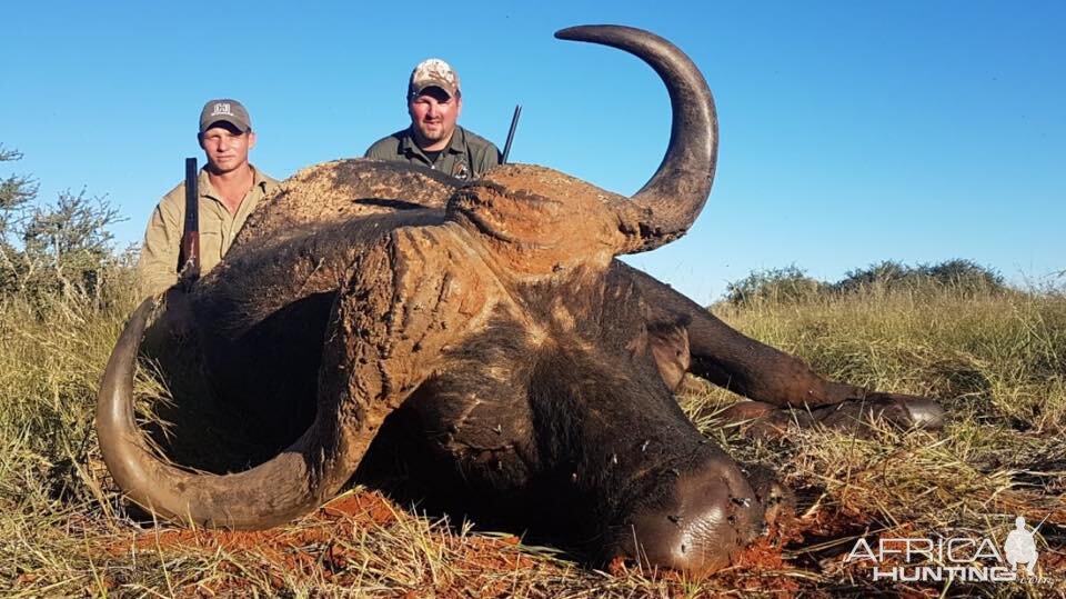 South Africa Hunt Cape Buffalo