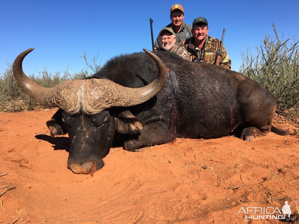 South Africa Hunt Cape Buffalo