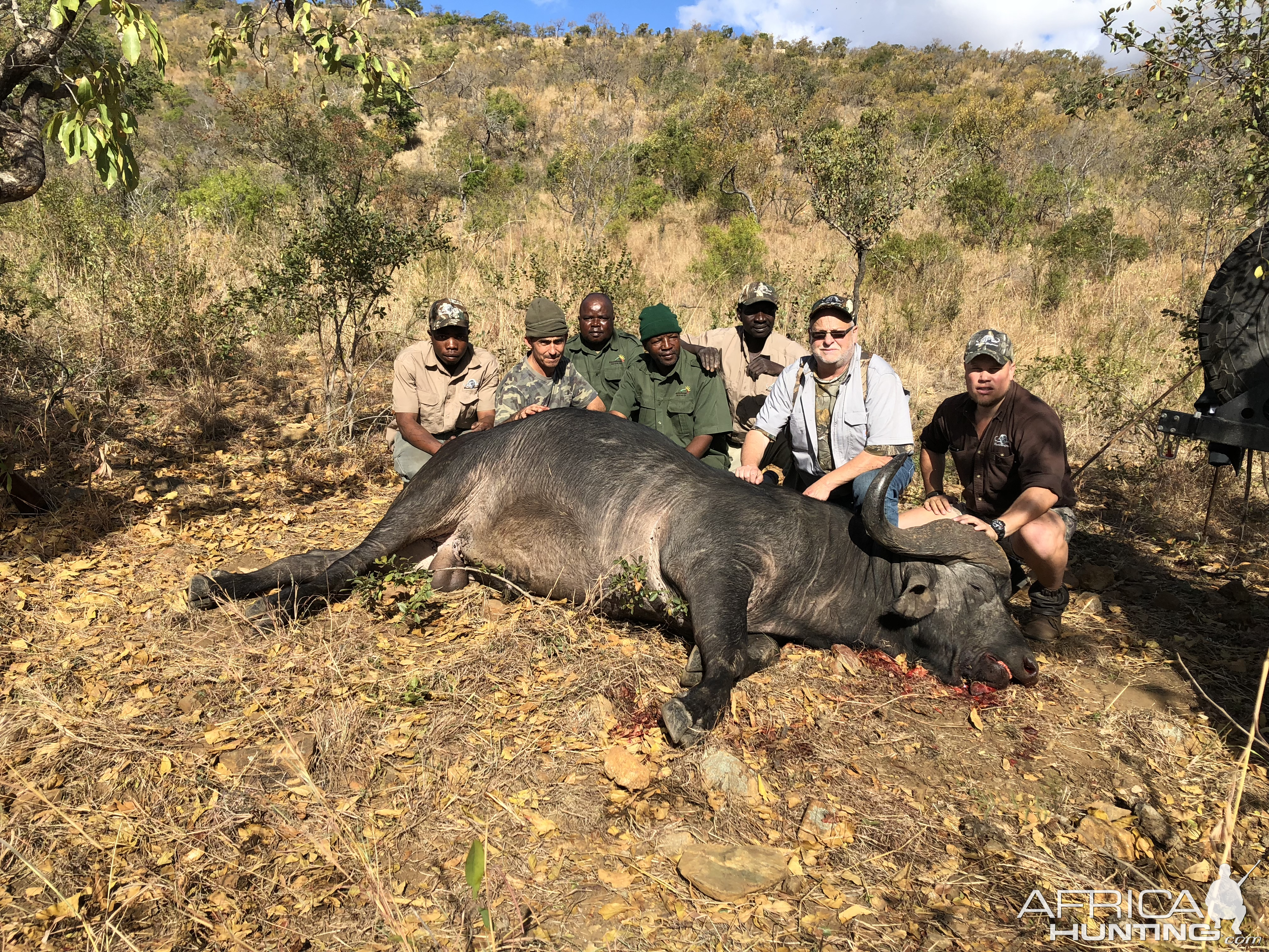 South Africa Hunt Cape Buffalo