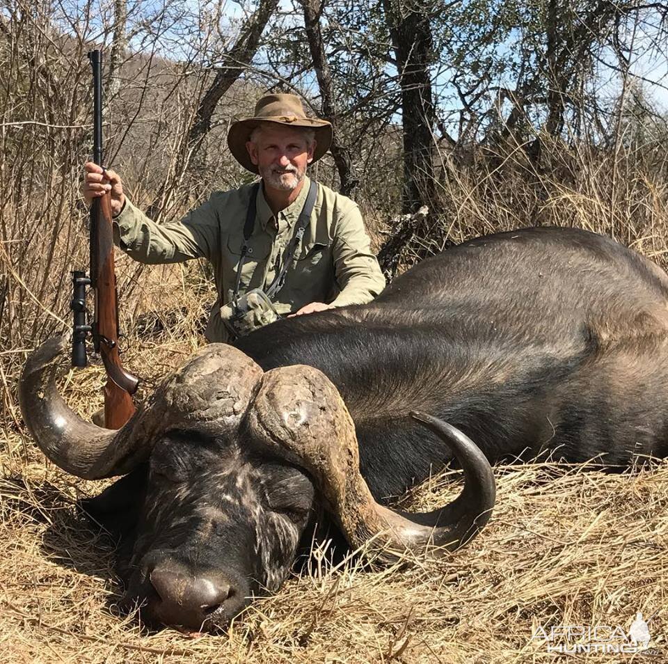 South Africa Hunt Cape Buffalo