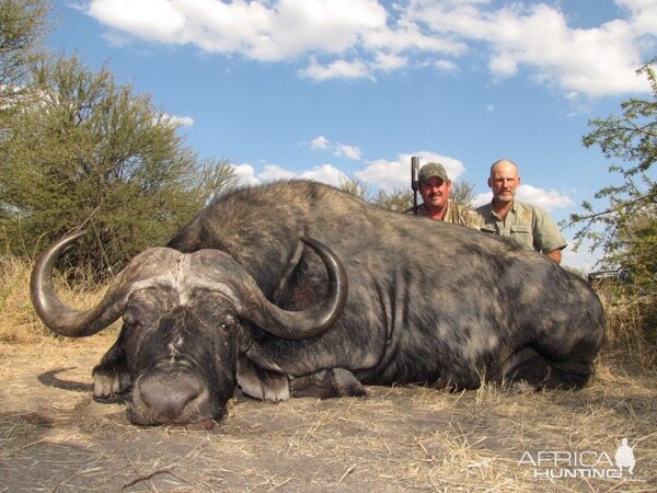 South Africa Hunt Cape Buffalo