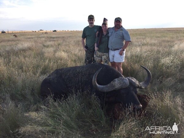 South Africa Hunt Cape Buffalo