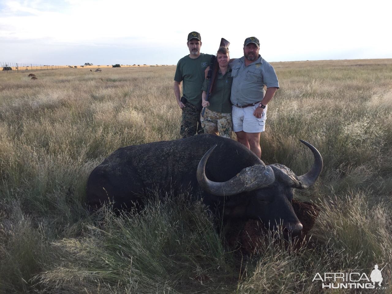 South Africa Hunt Cape Buffalo