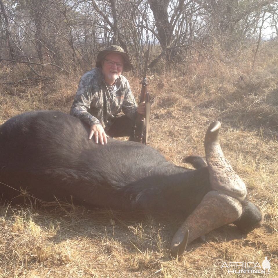 South Africa Hunt Cape Buffalo