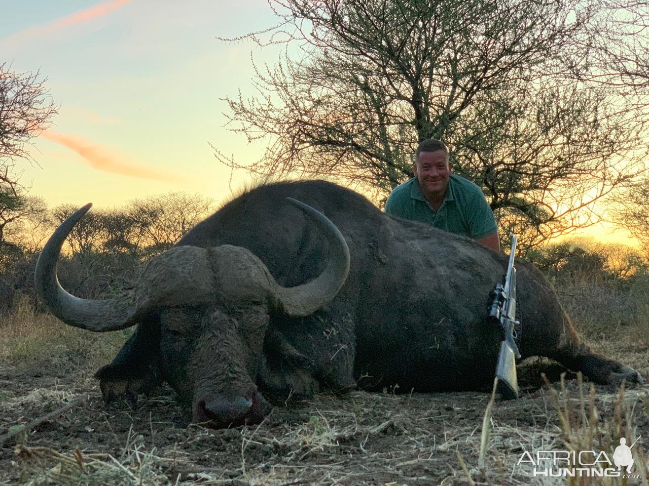 South Africa Hunt Cape Buffalo