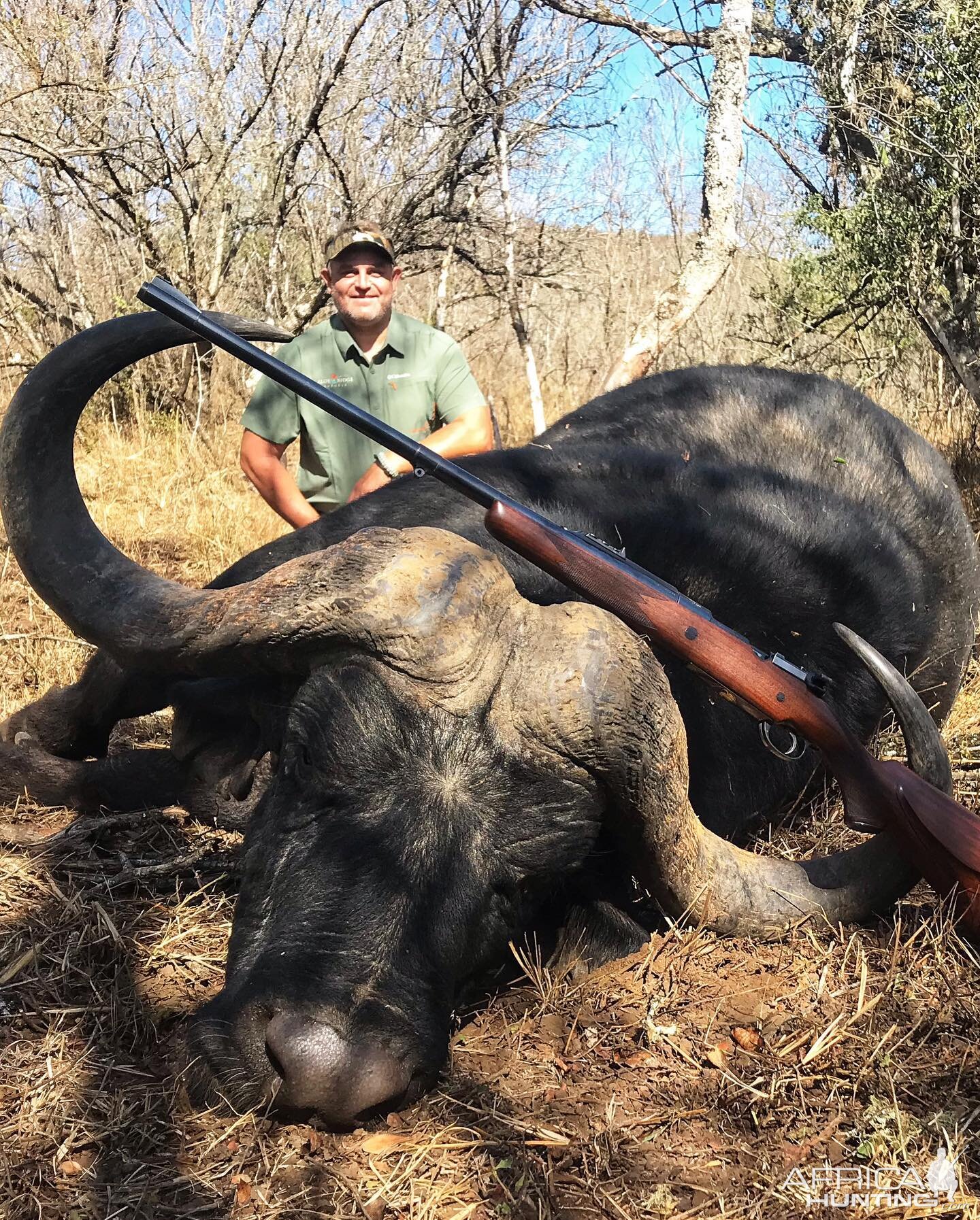 South Africa Hunt Cape Buffalo