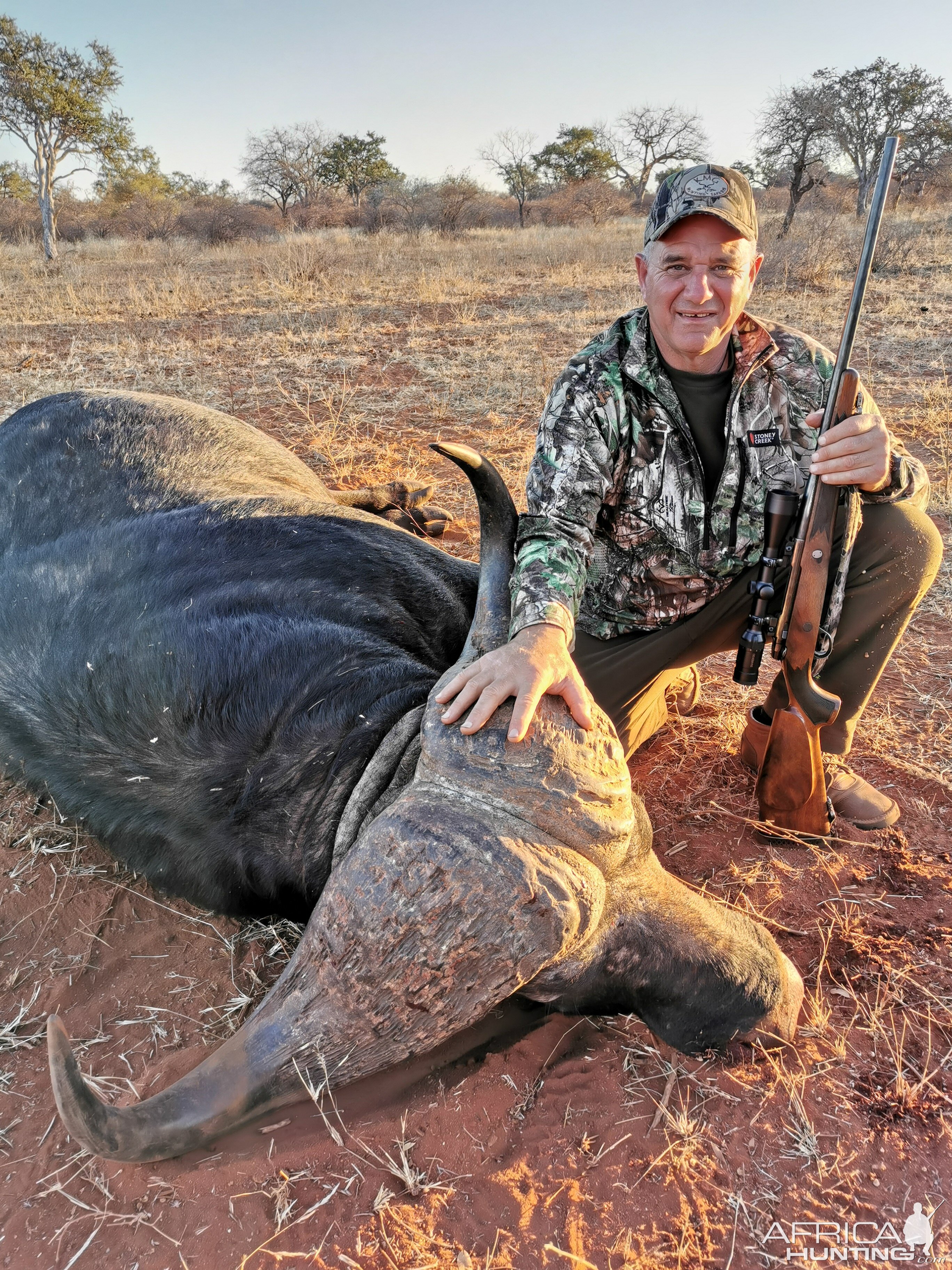 South Africa Hunt Cape Buffalo