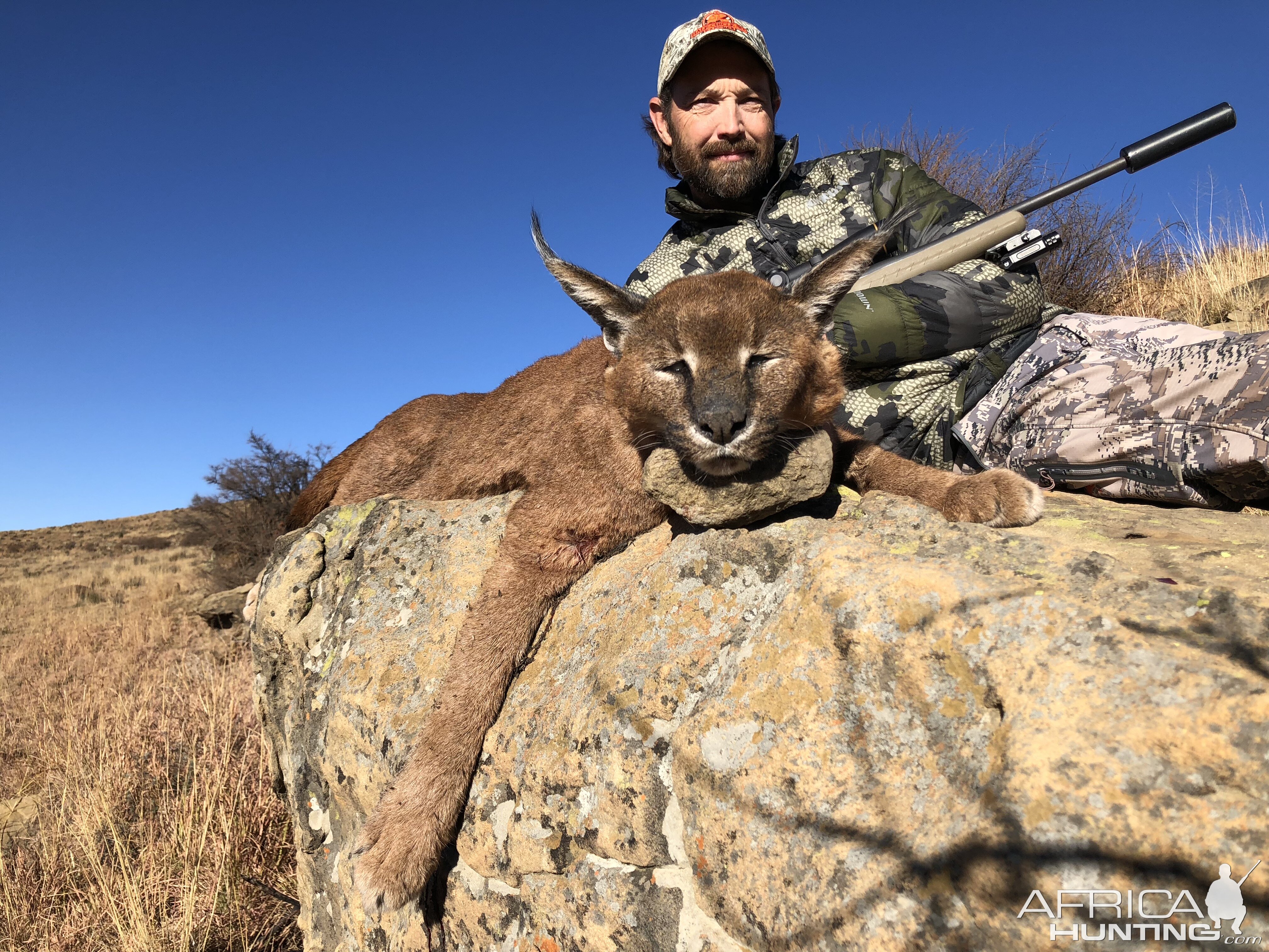 South Africa Hunt Caracal