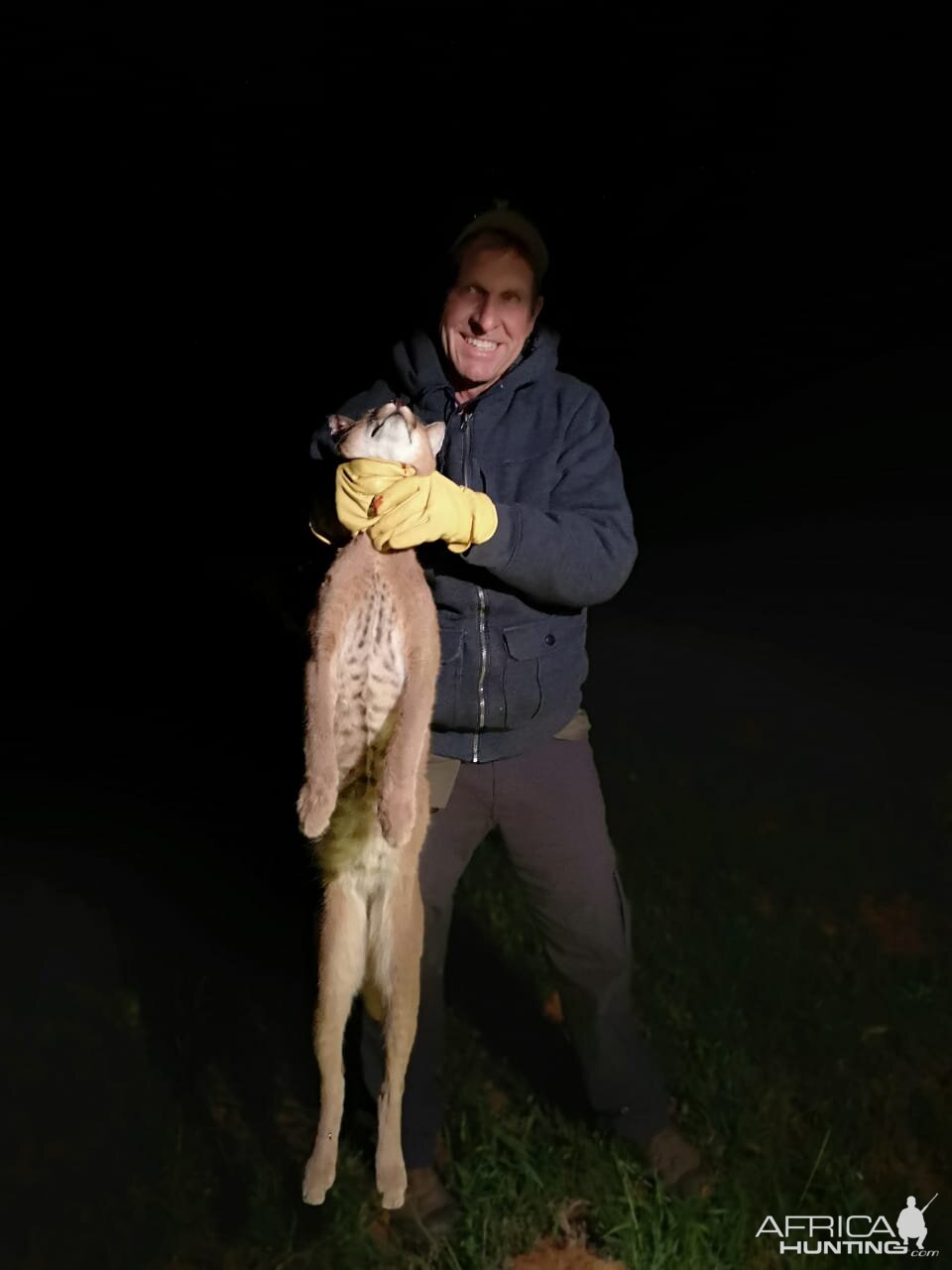 South Africa Hunt Caracal