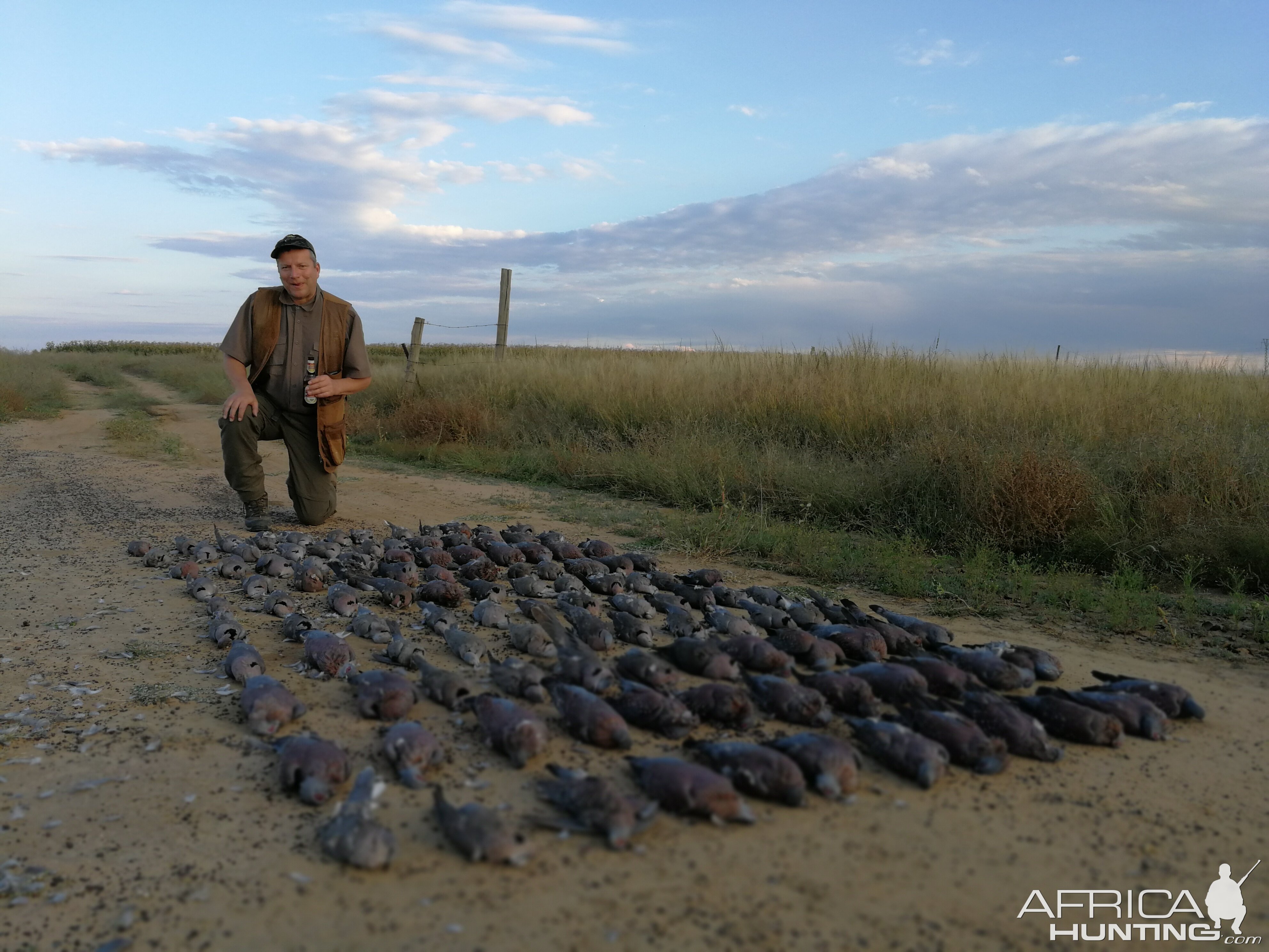 South Africa Hunt Doves & Pigeons