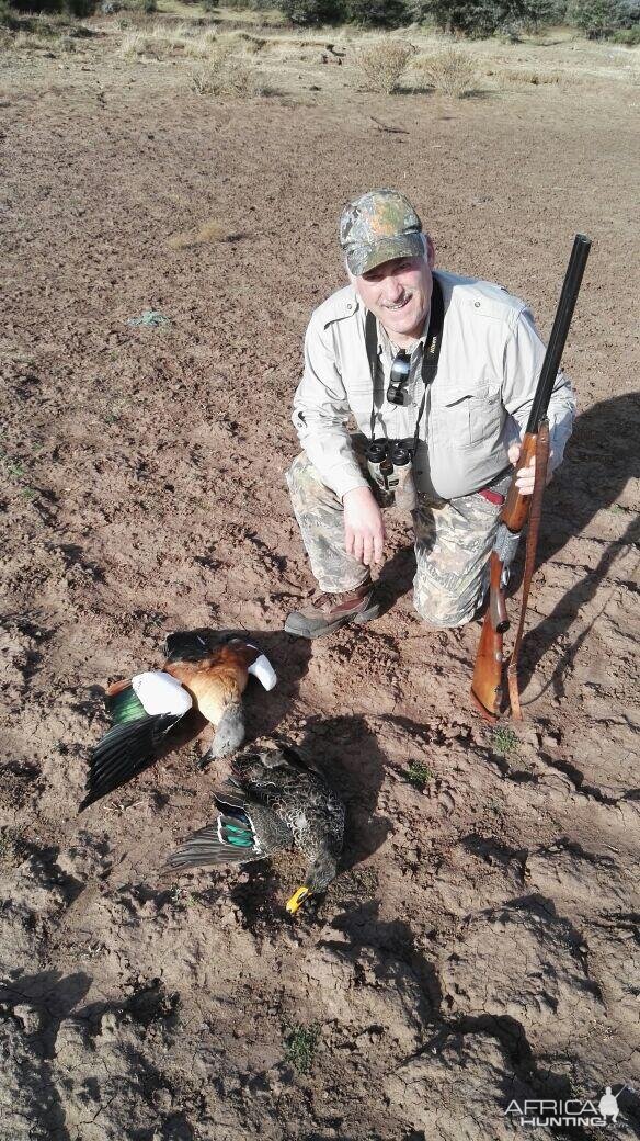 South Africa Hunt Ducks