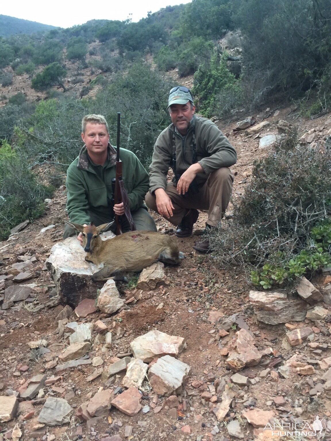 South Africa Hunt Duiker