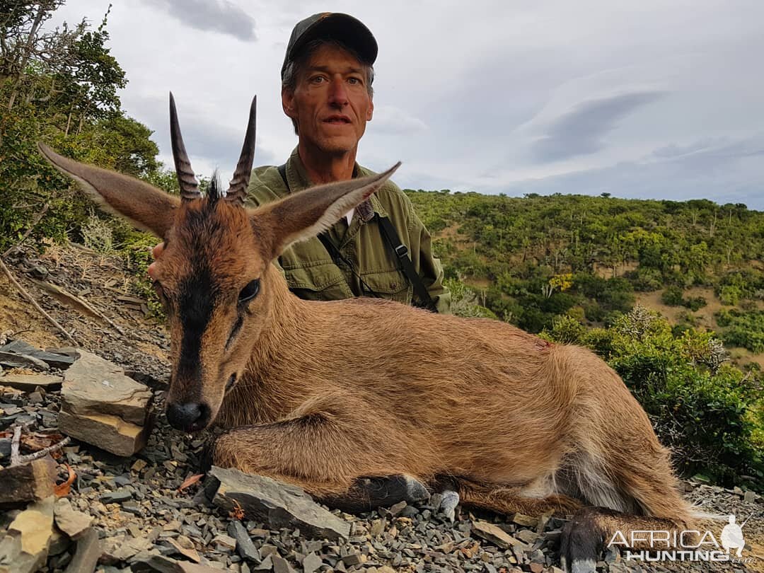 South Africa Hunt Duiker