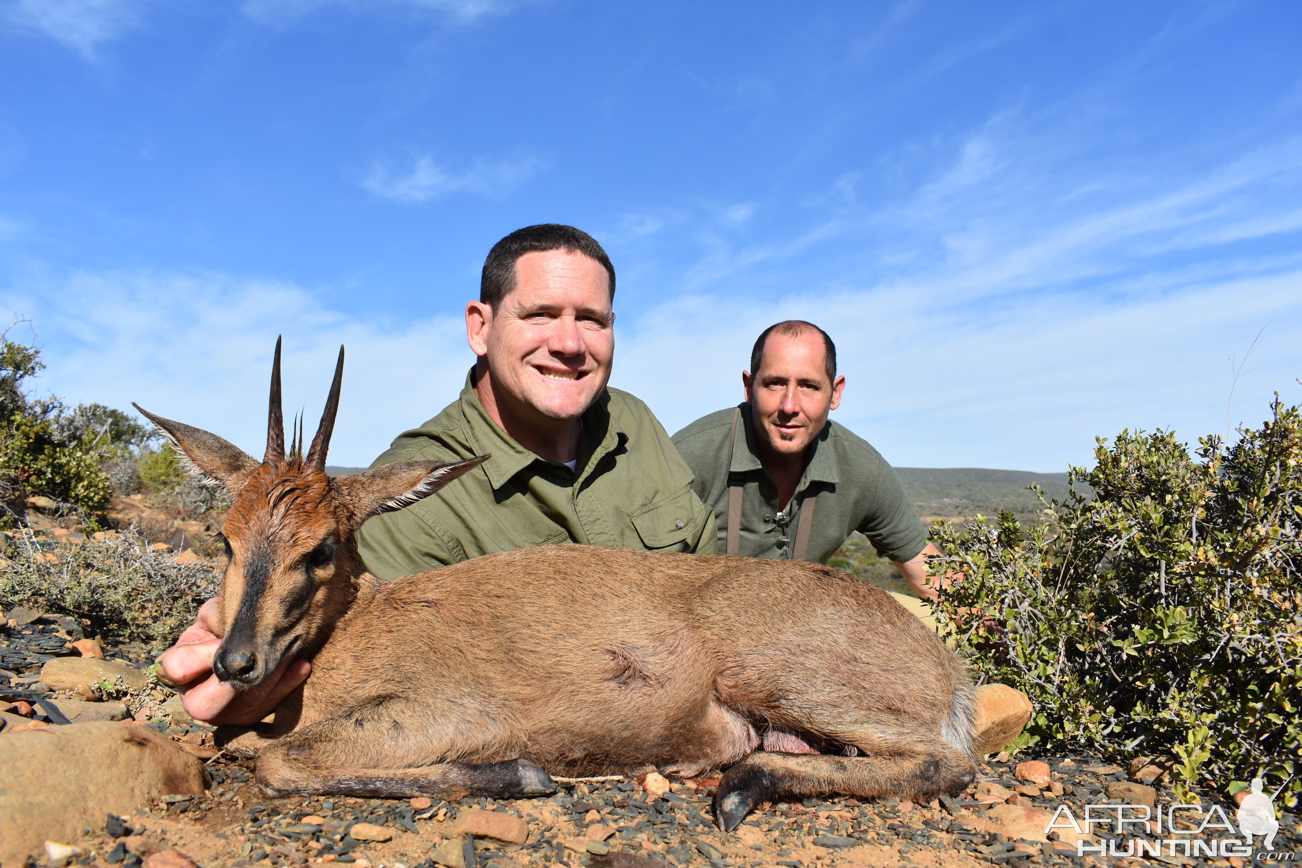 South Africa Hunt Duiker