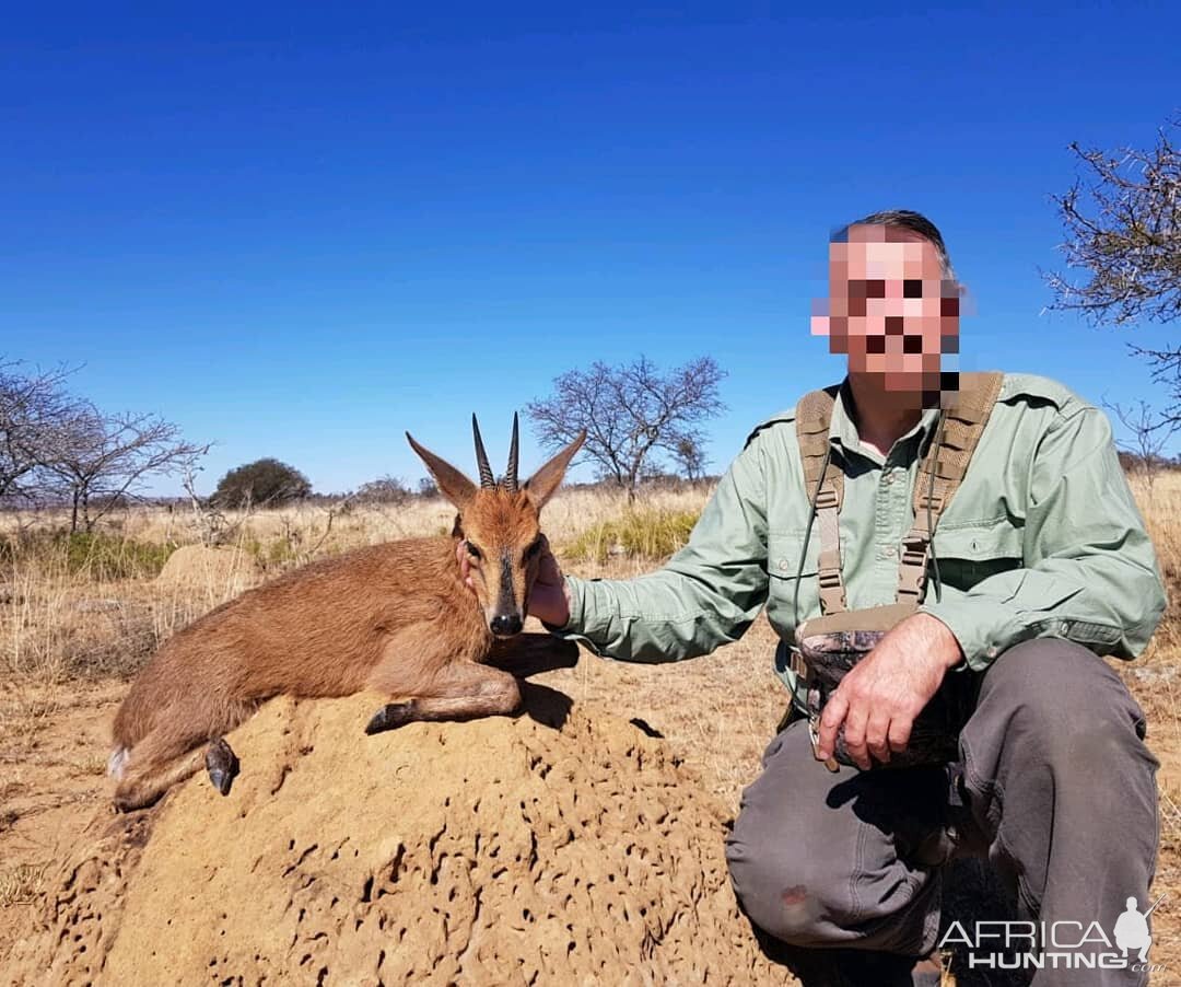 South Africa Hunt Duiker