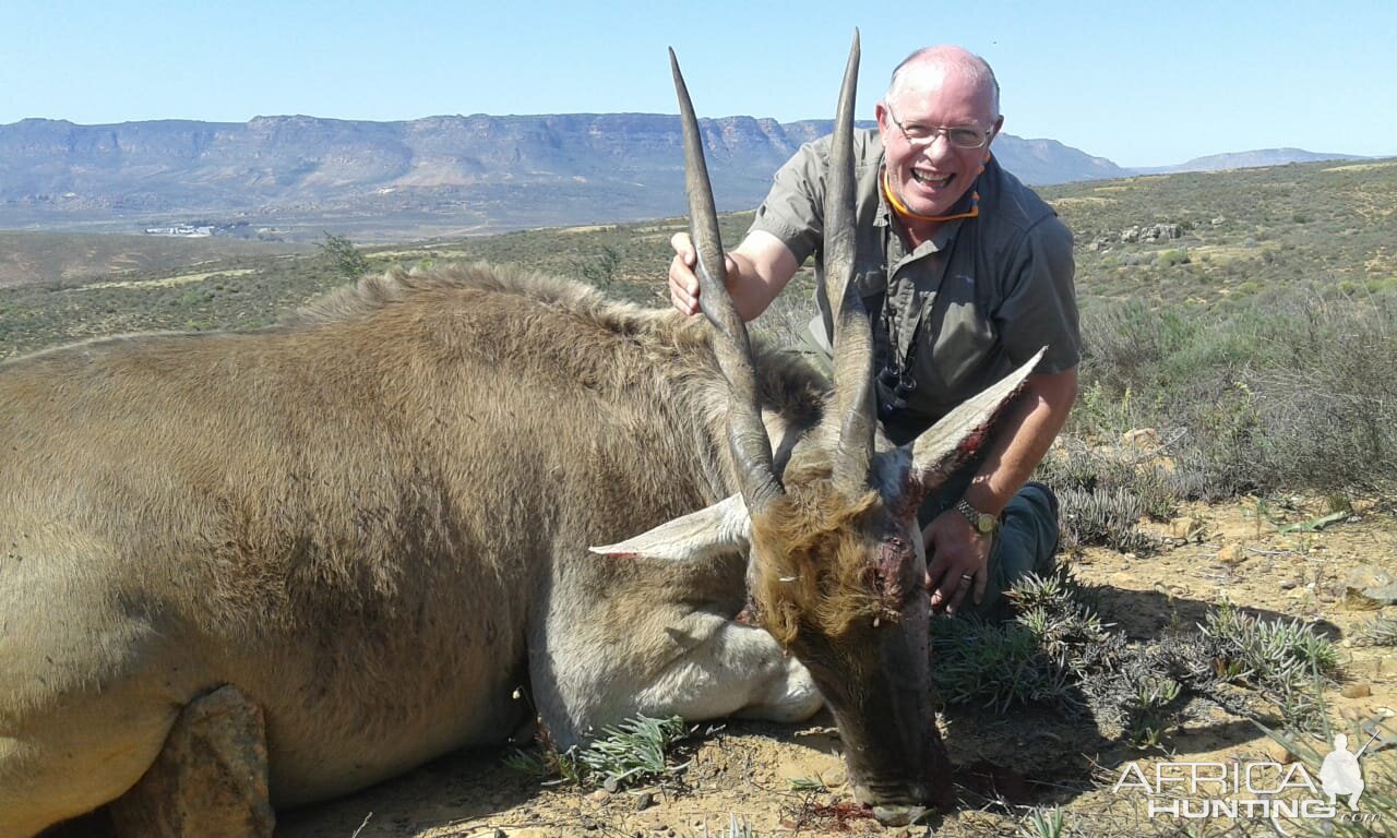 South Africa Hunt Eland Cow