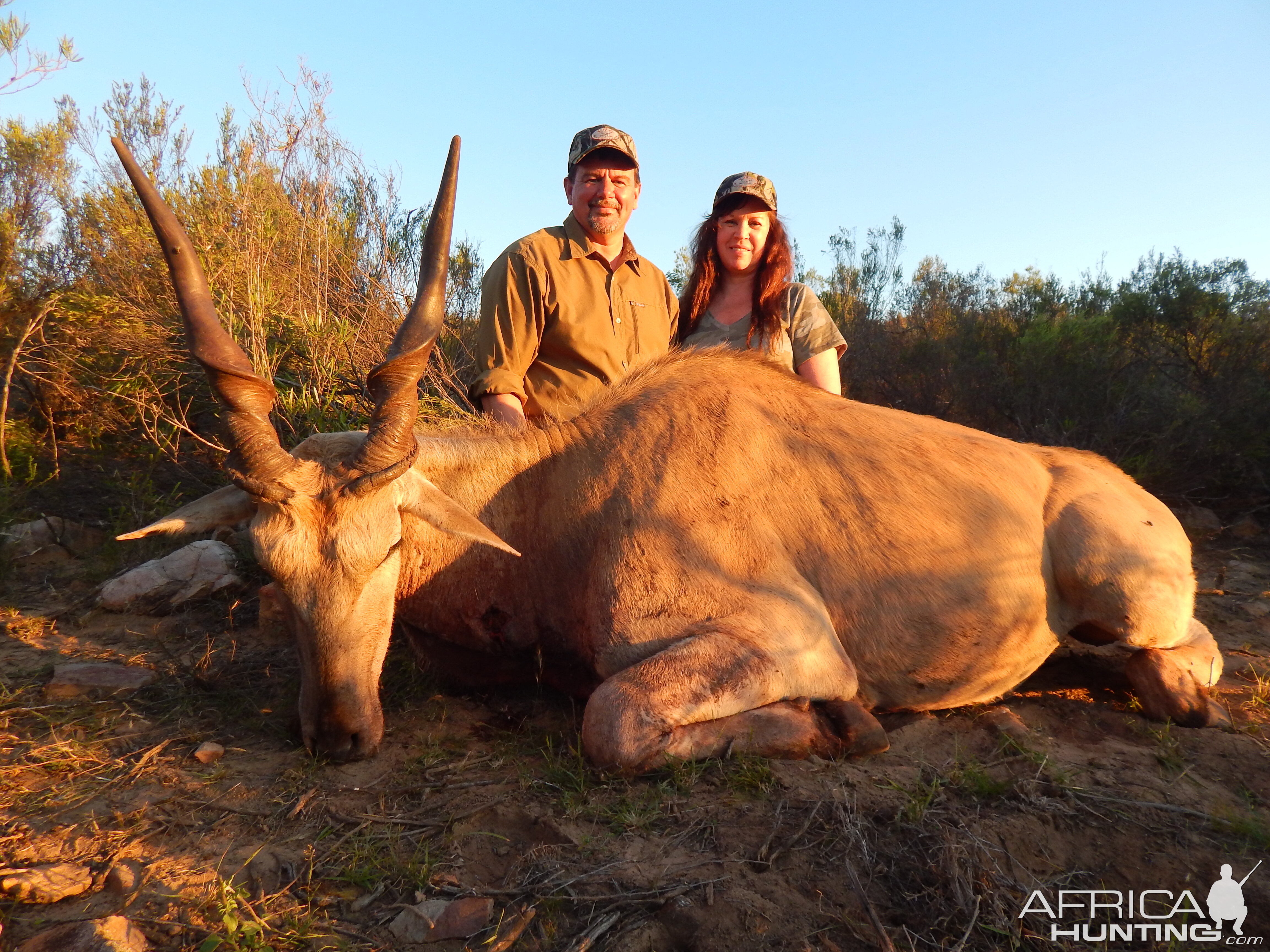 South Africa Hunt Eland