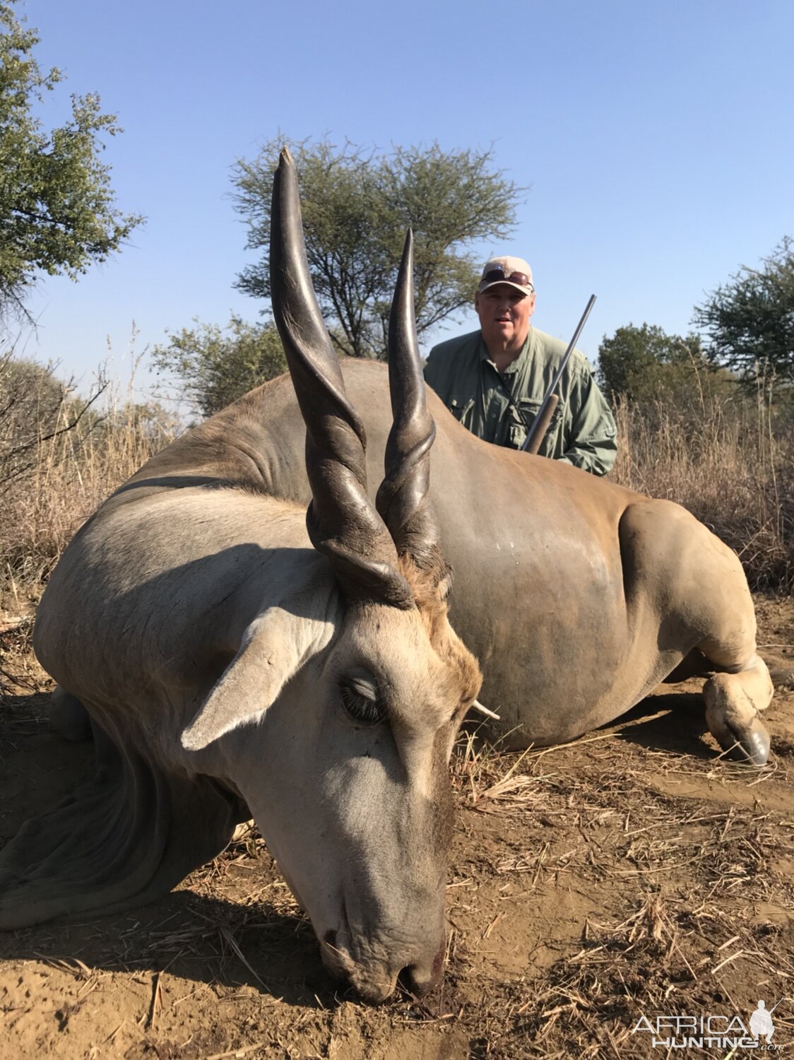 South Africa Hunt Eland