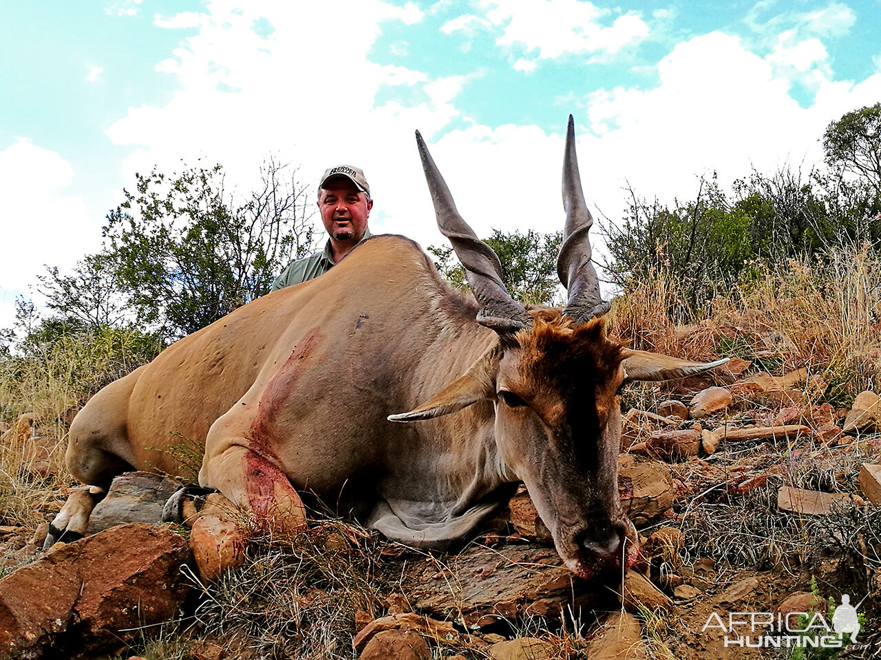 South Africa Hunt Eland