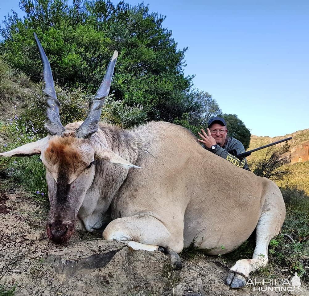 South Africa Hunt Eland