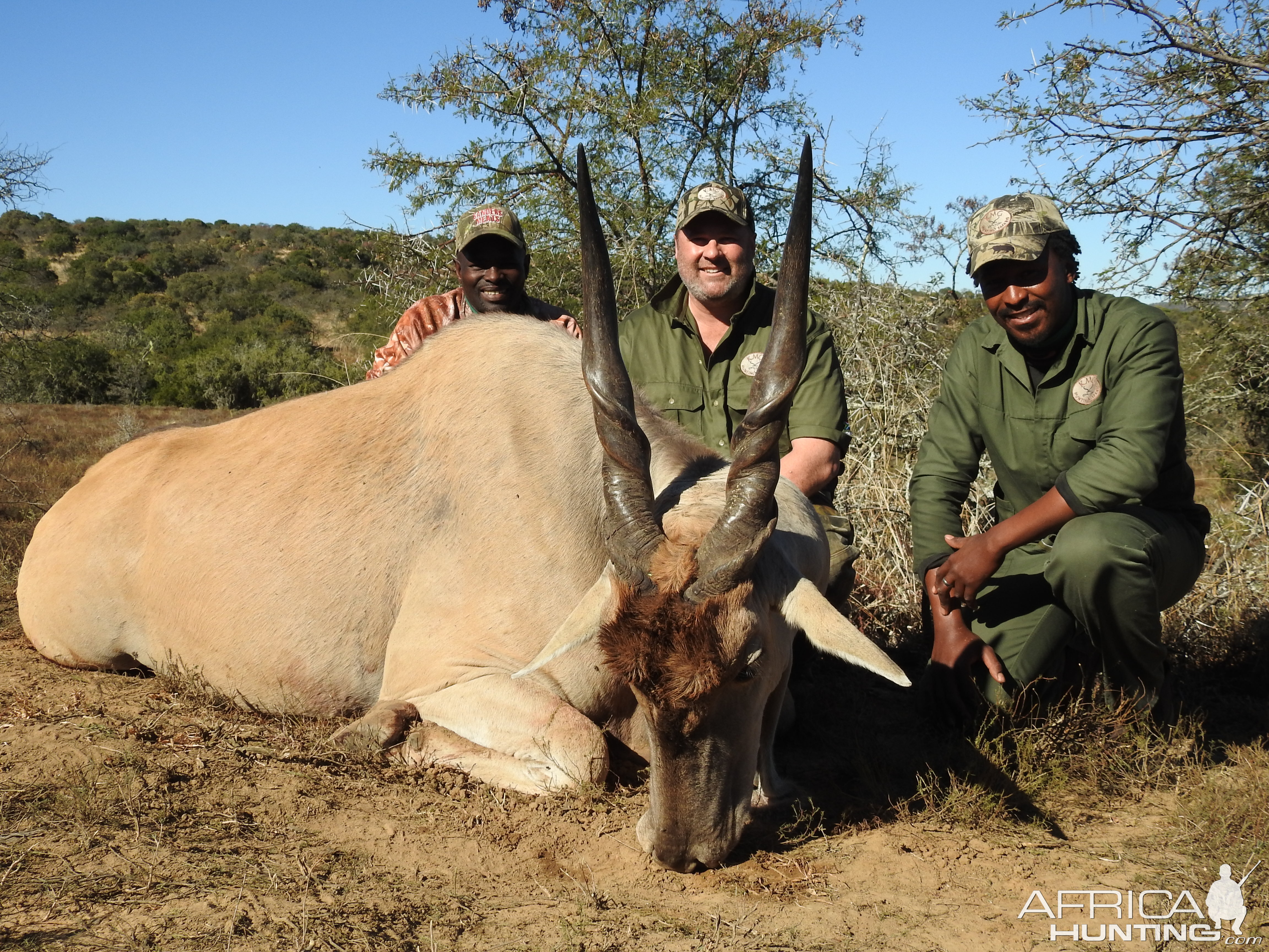 South Africa Hunt Eland