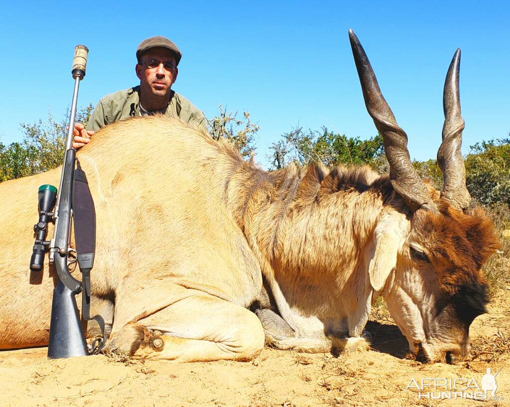 South Africa Hunt Eland