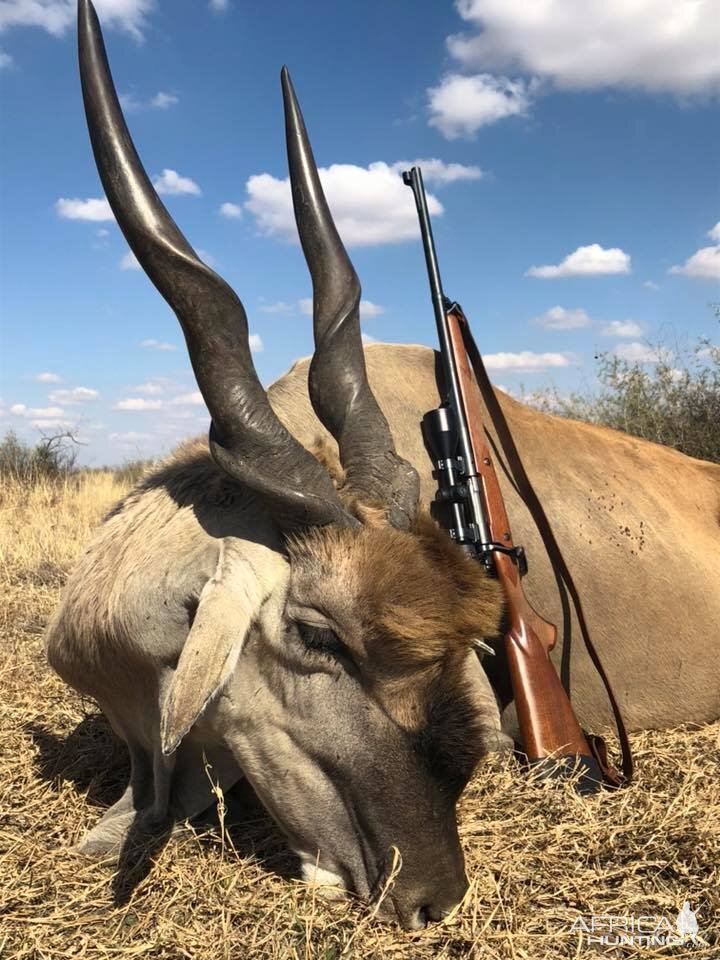 South Africa Hunt Eland