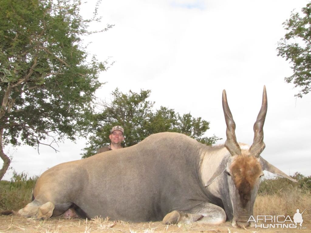 South Africa Hunt Eland