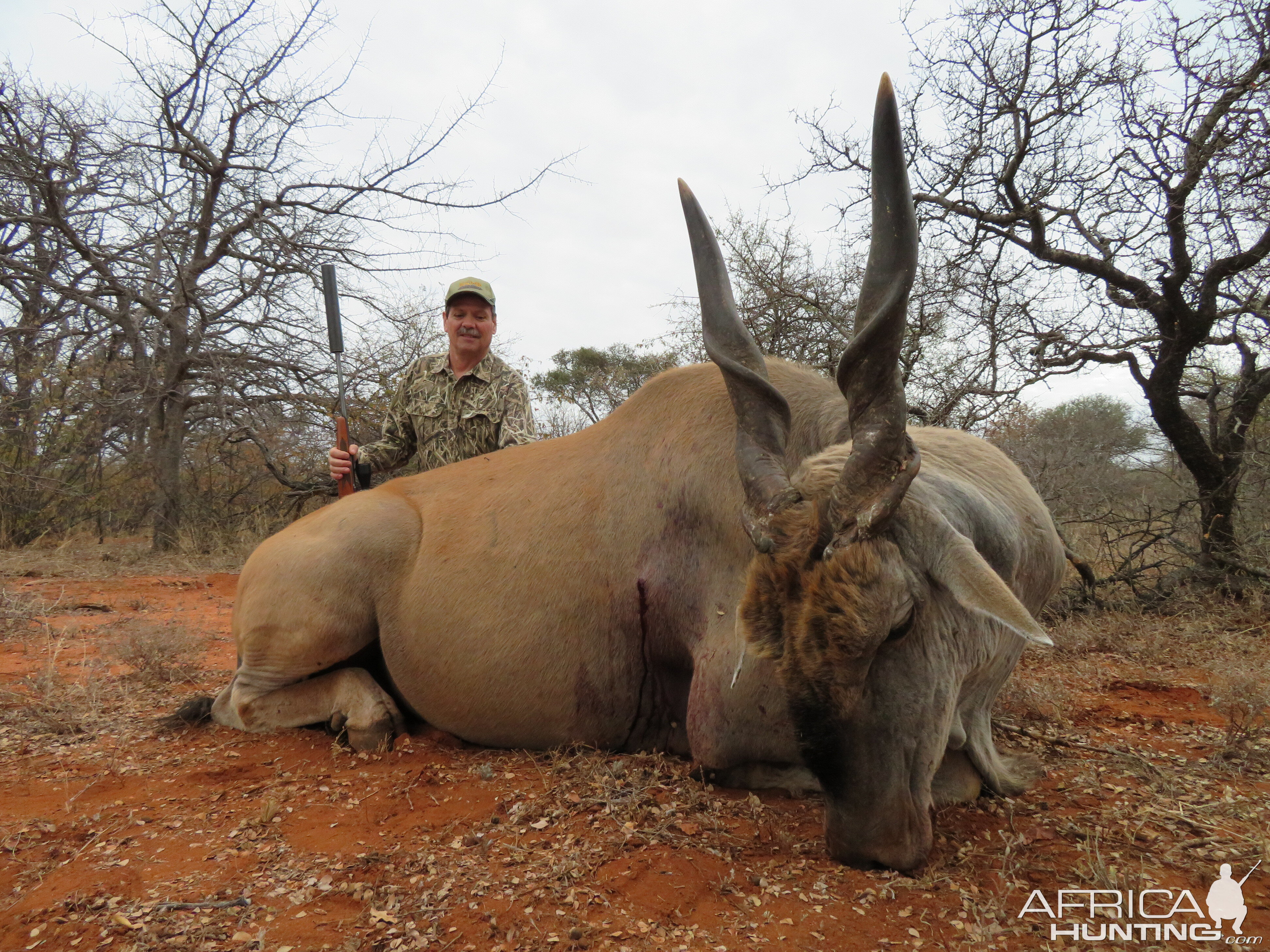 South Africa Hunt Eland