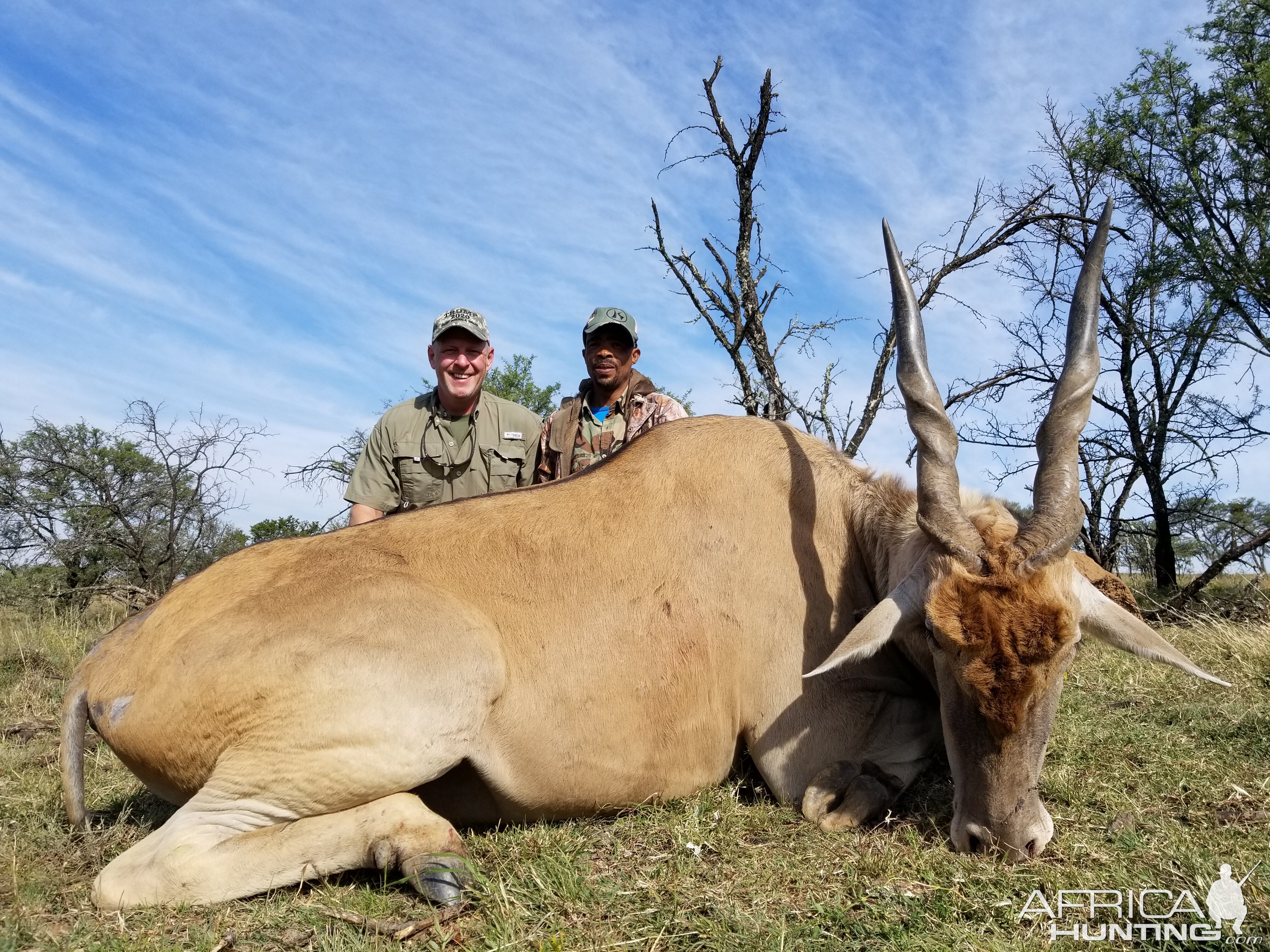 South Africa Hunt Eland