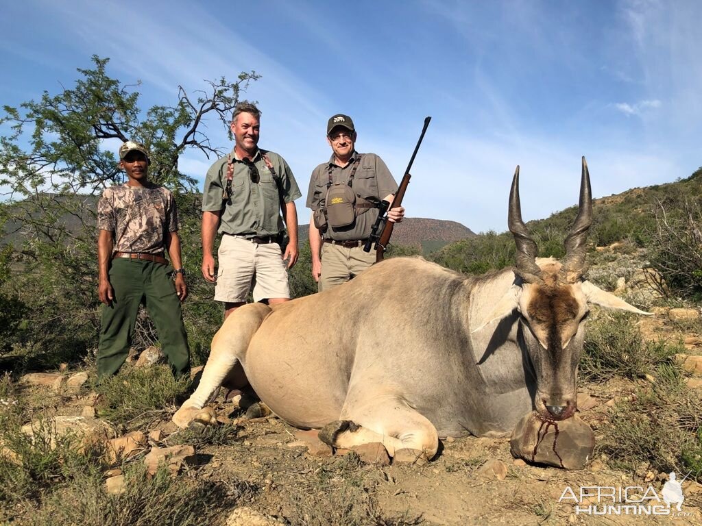 South Africa Hunt Eland