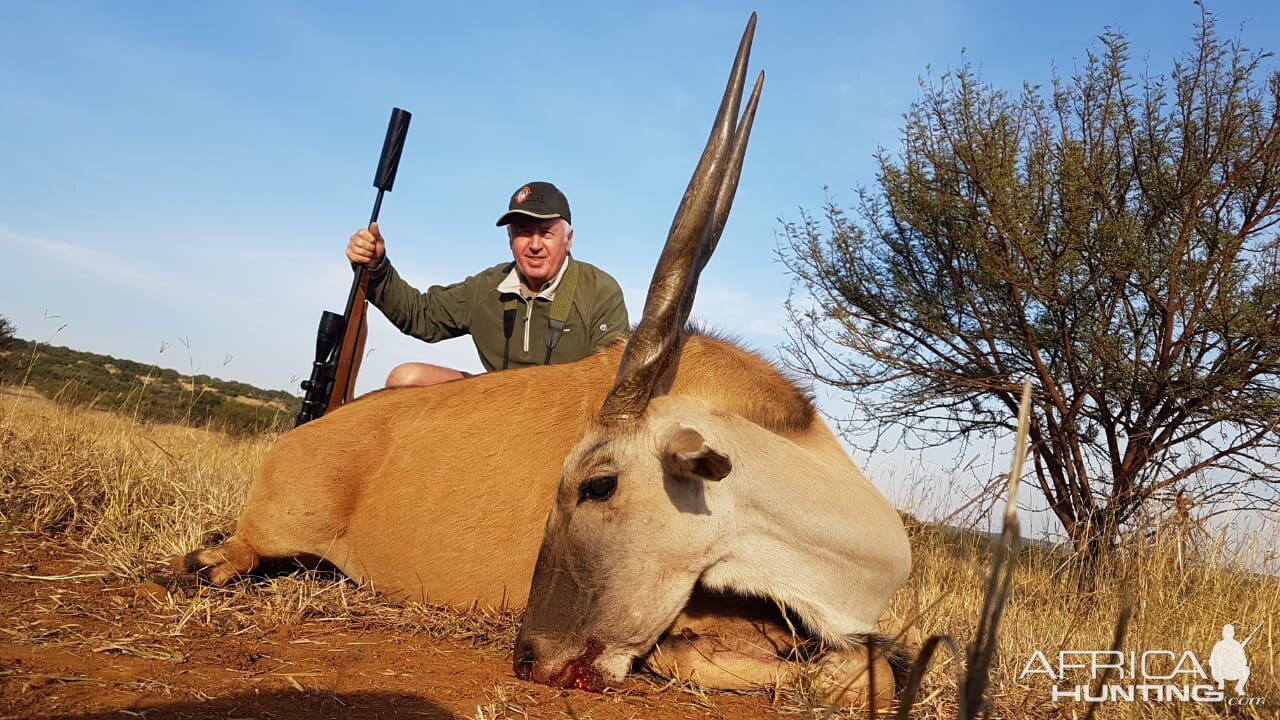 South Africa Hunt Eland