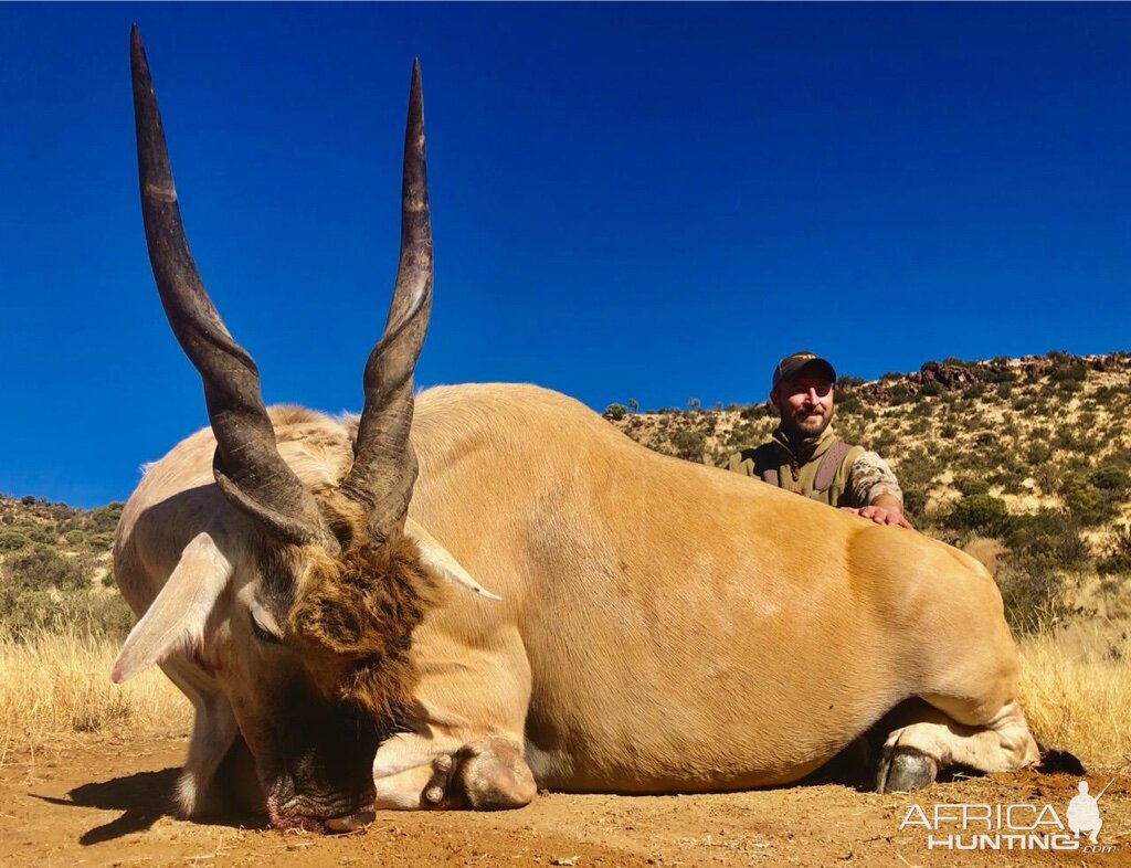 South Africa Hunt Eland