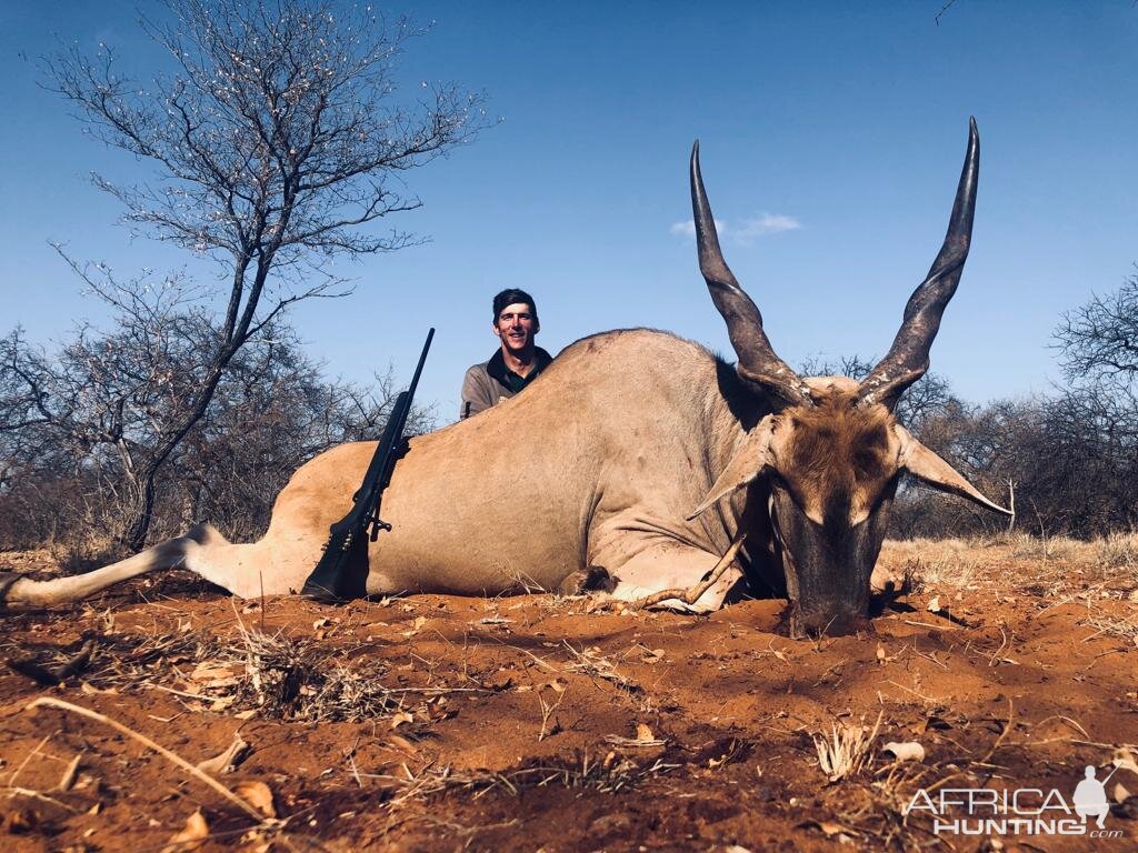 South Africa Hunt Eland