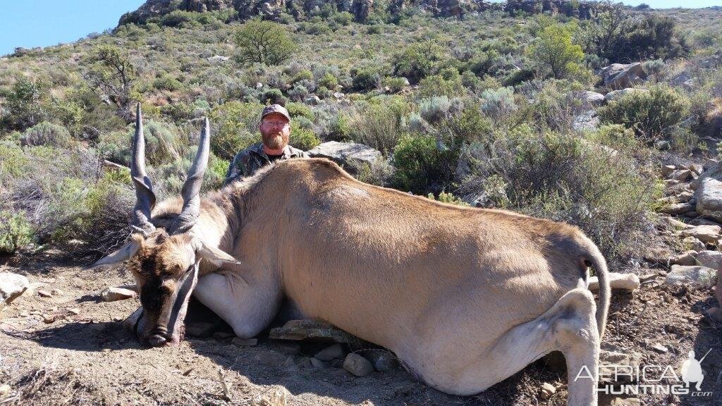 South Africa Hunt Eland