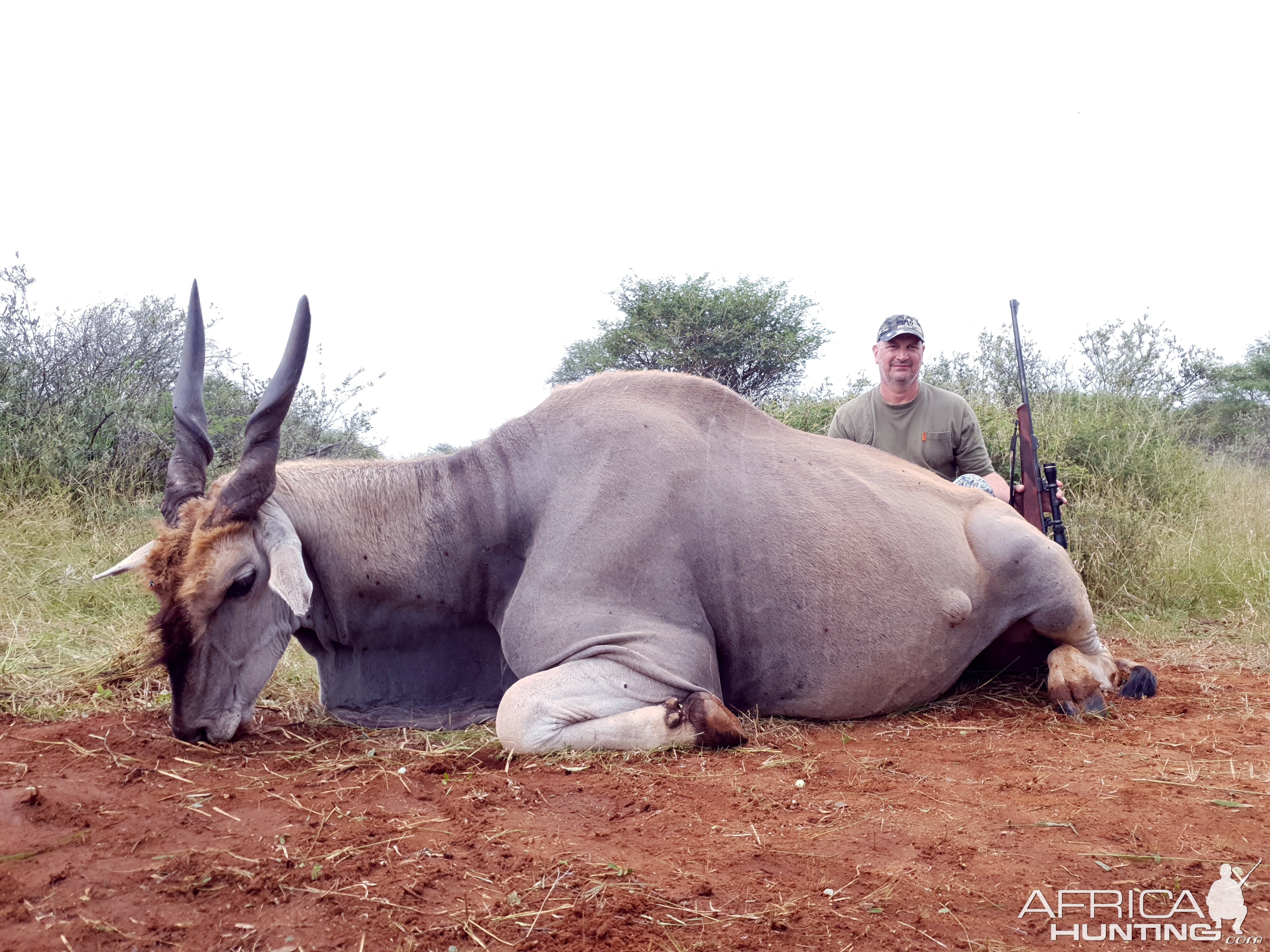 South Africa Hunt Eland