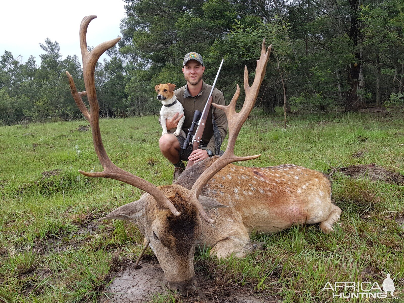 South Africa Hunt Fallow Deer