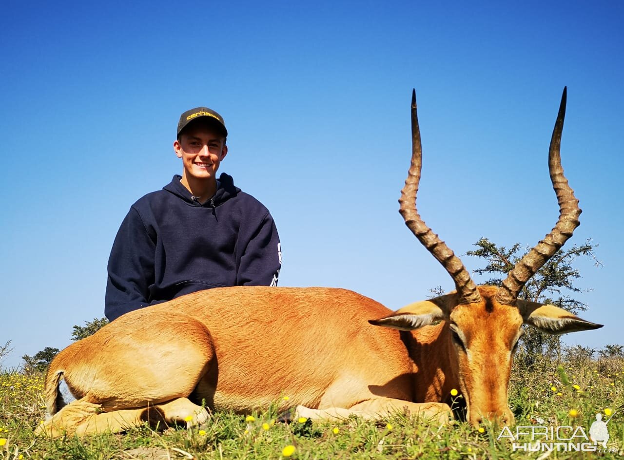 South Africa Hunt Gemsbok