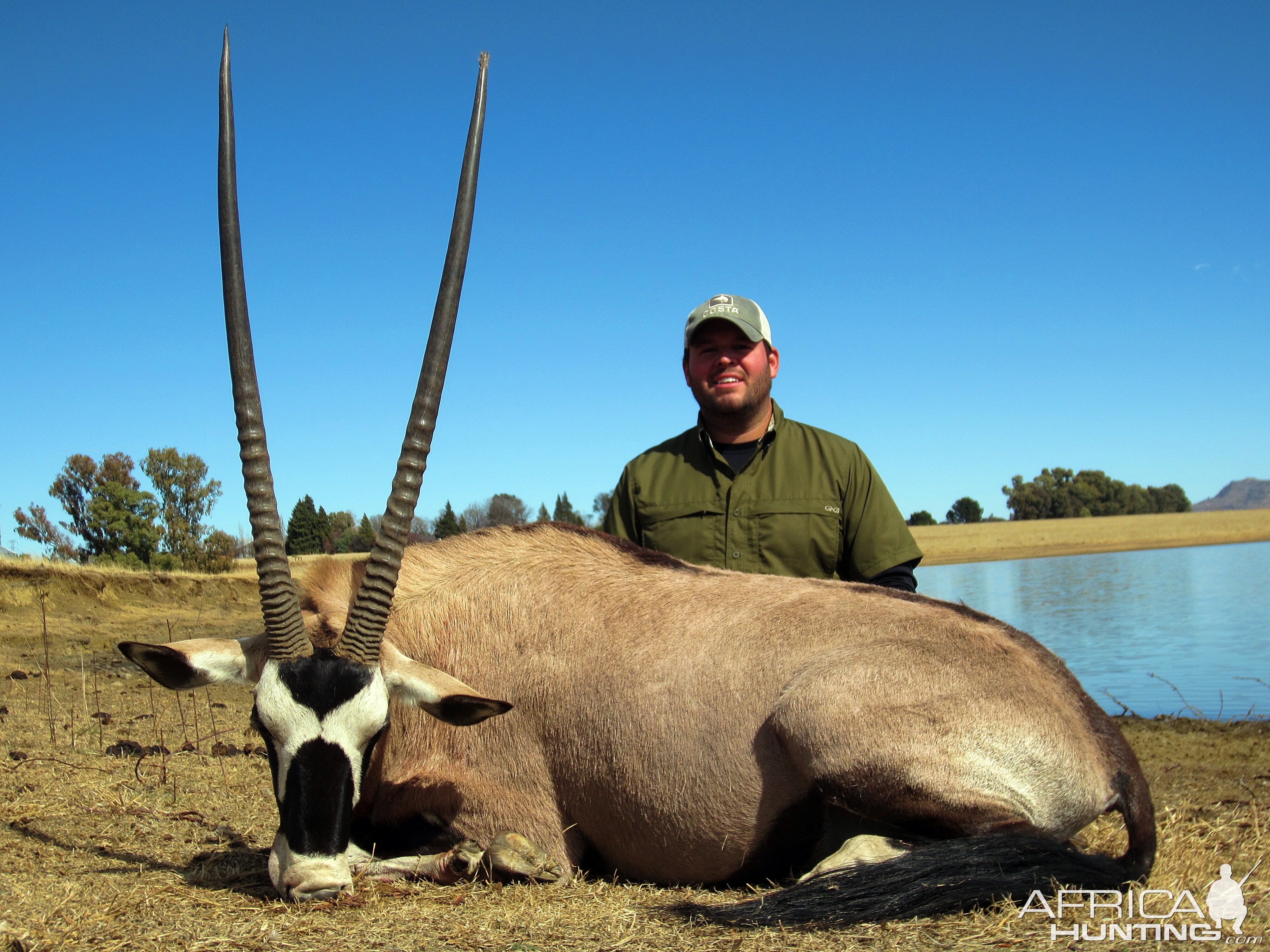 South Africa Hunt Gemsbok