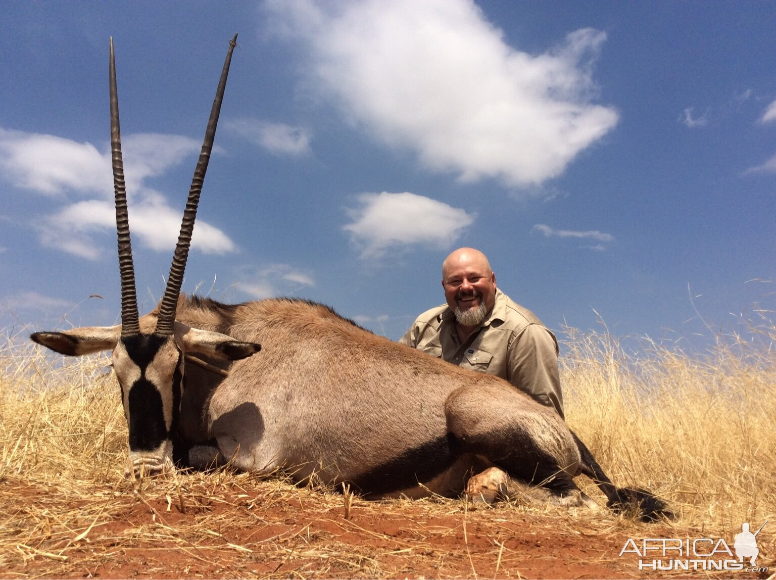 South Africa Hunt Gemsbok