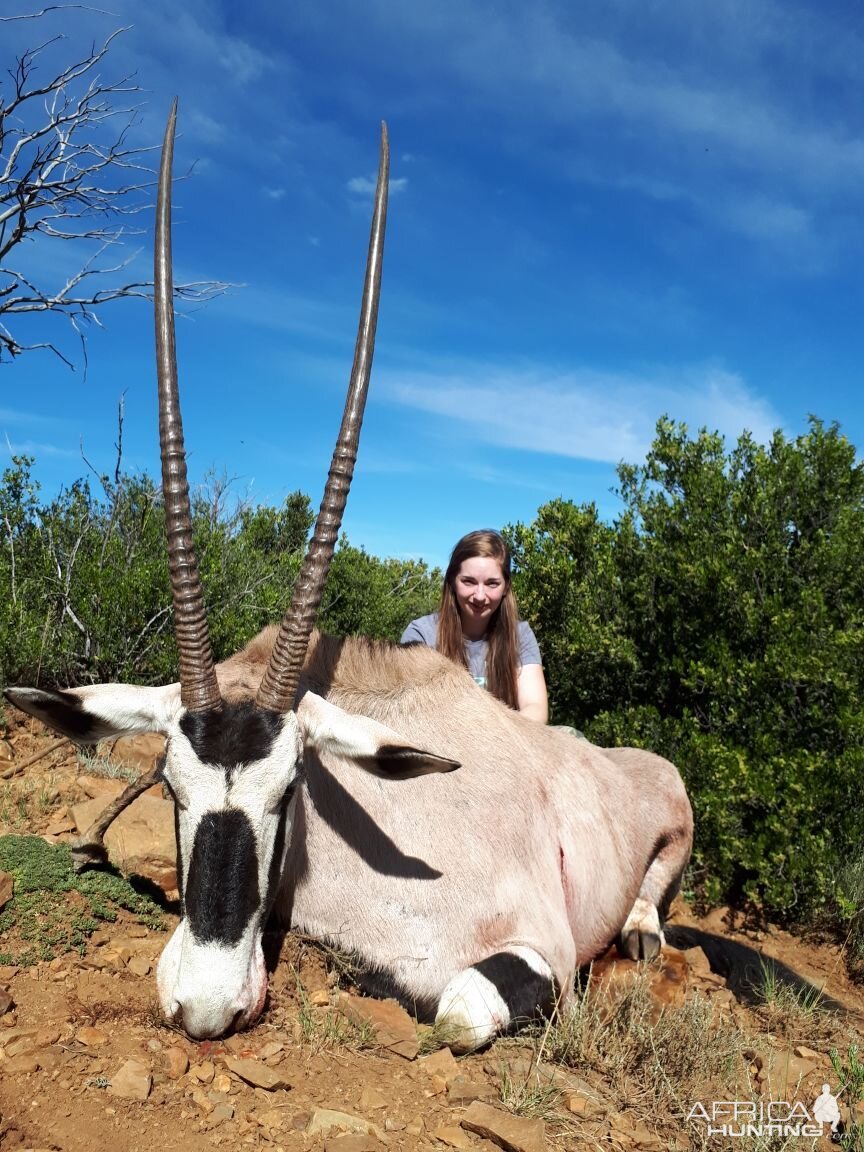 South Africa Hunt Gemsbok