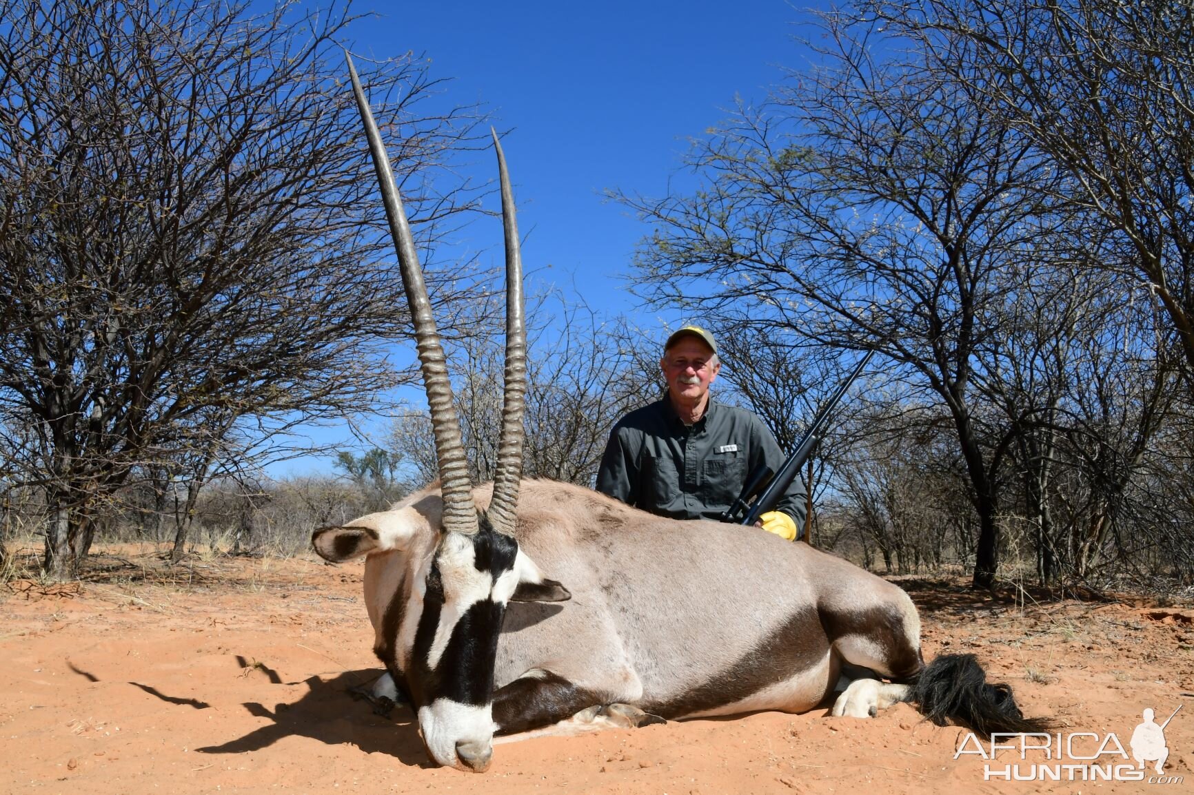 South Africa Hunt Gemsbok