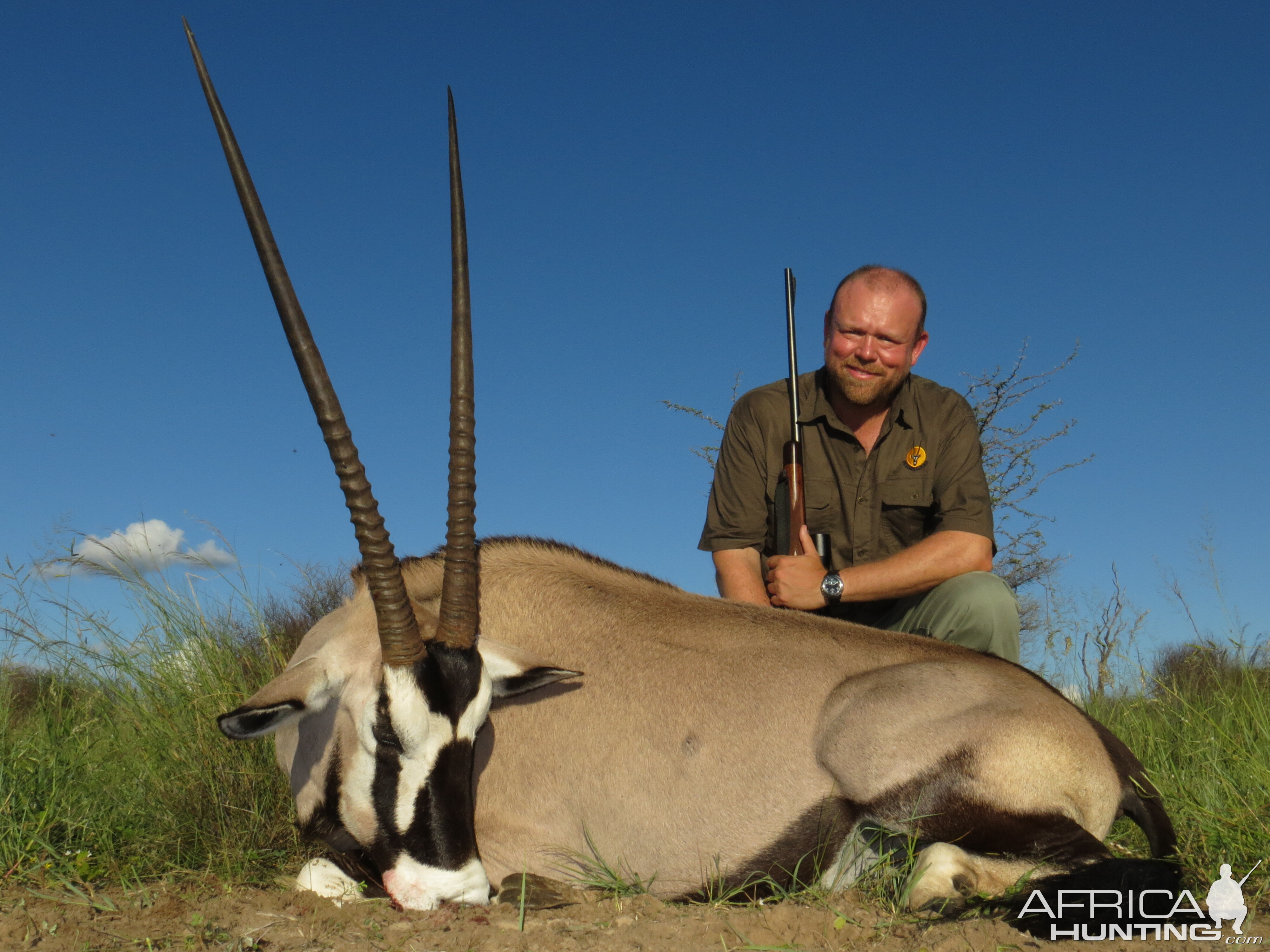 South Africa Hunt Gemsbok