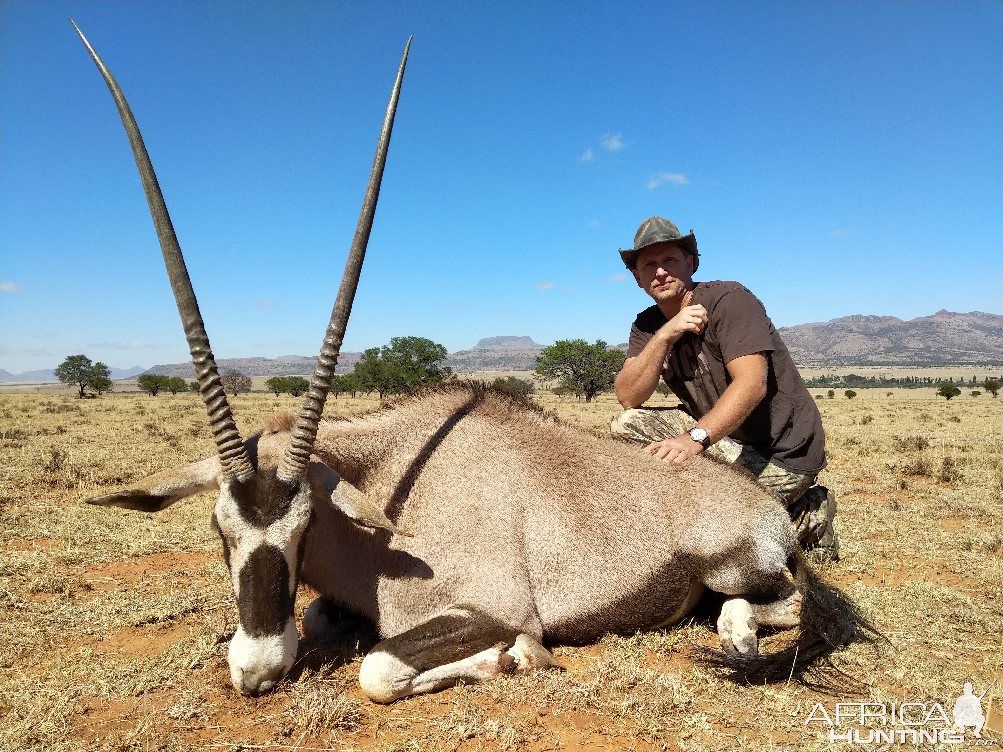 South Africa Hunt Gemsbok