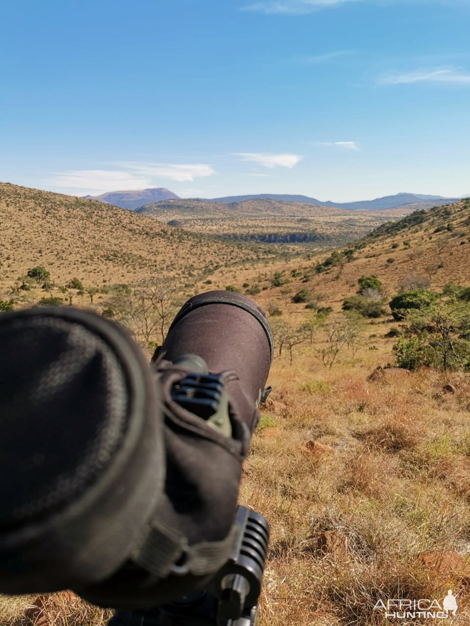 South Africa Hunt Gemsbok