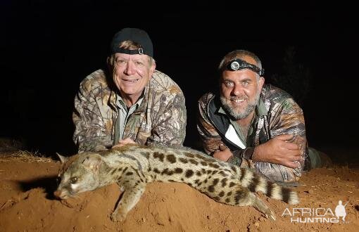 South Africa Hunt Genet Cat