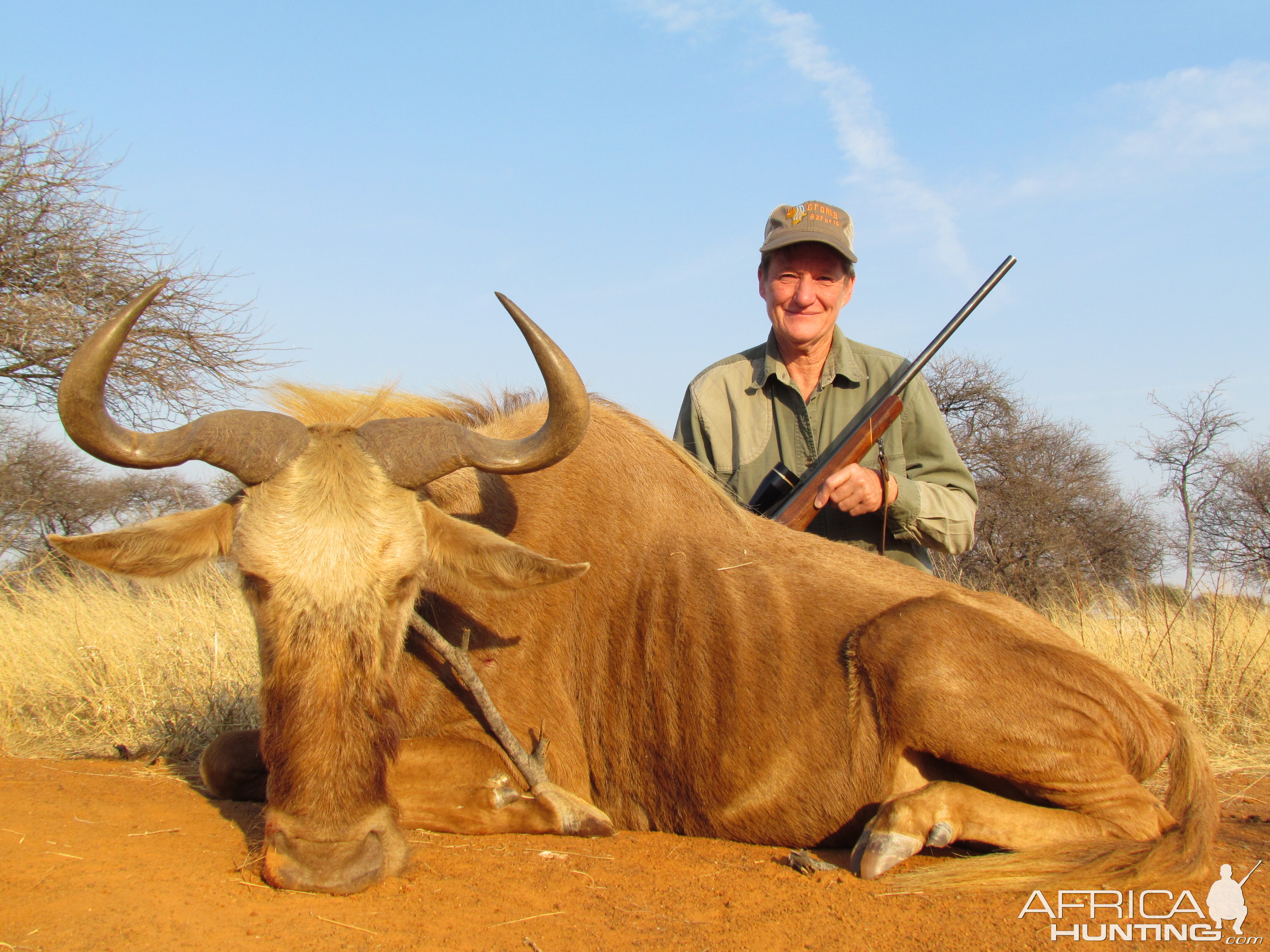 South Africa Hunt Golden Wildebeest