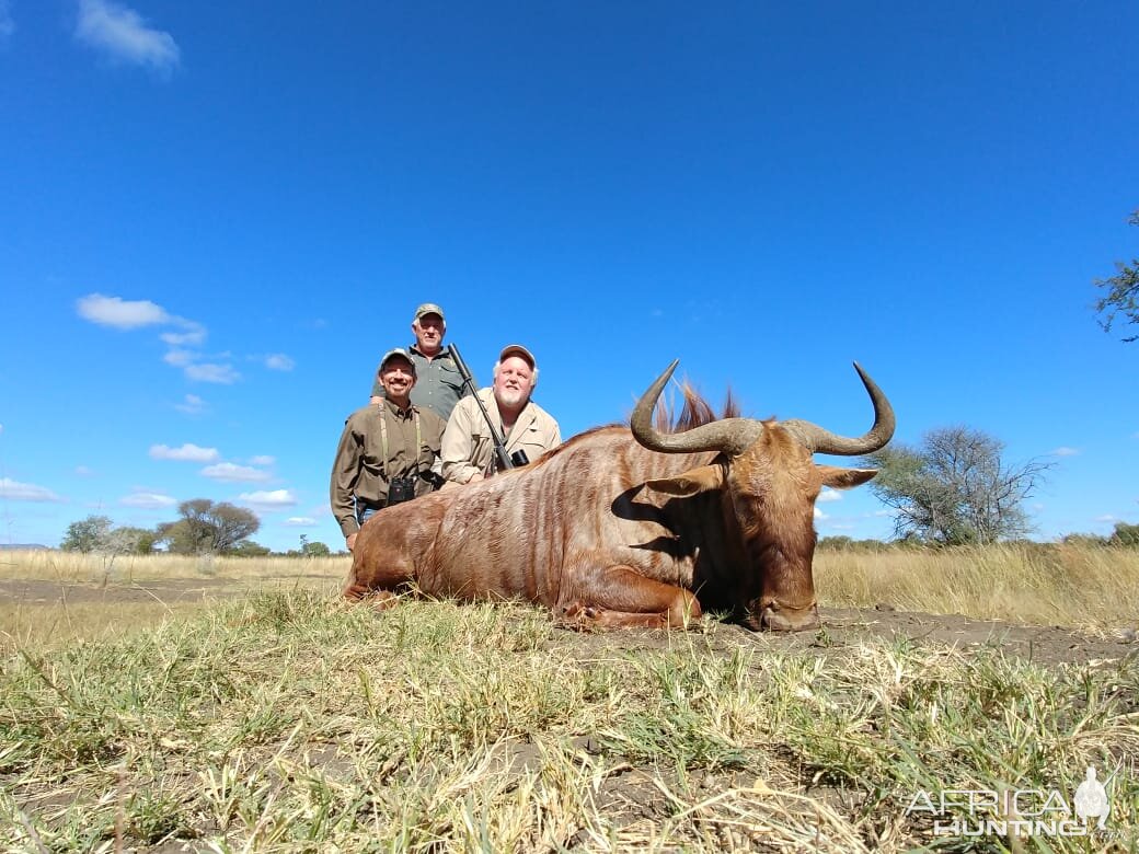 South Africa Hunt Golden Wildebeest