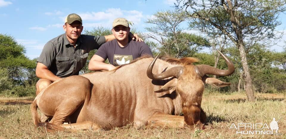 South Africa Hunt Golden Wildebeest