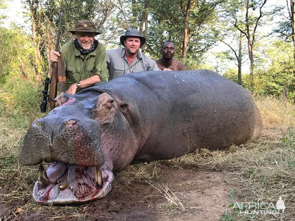 South Africa Hunt Hippo